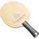 Butterfly Fan Zhendong CNF FL