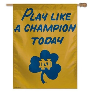 Wincraft NCAA Notre Dame 98814012 Vertical Flag, 27" x 37", Black