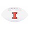 NCAA Signature Series Full Size Autograph Football Illinois Fighting Illini