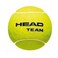 HEAD Team Tennis Balls - 1 Dozen