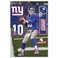 Wincraft NFL New York Giants WCR75416014 Multi-Use Decal, 11" x 17