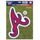 MLB Atlanta Braves 82580010 Die Cut Logo Magnet, Small, Black