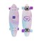 Roxy Mini Pintail Cruiser Skateboard Pastels 25 Inches for Girls, Boys, and Kids Ages 8+