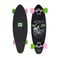Roxy Mini Pintail Cruiser Skateboard Islands 25 Inches for Boys, Girls, and Kids Ages 8+