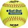 Rawlings   NCAA Soft Poly-Core Fastpitch Training Softballs   11" &amp; 12" Options   12 Count