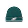 FOCO Men's Philadelphia Eagles NFL Logo Ribbed Beanie Hat, Team Color