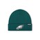 FOCO Men's Philadelphia Eagles NFL Logo Basic Beanie Hat, Team Color