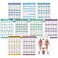 10 Pack - Exercise Workout Poster Set - Dumbbell, Suspension, Kettlebell, Resistance Bands, Stretching, Bodyweight, Barbell, Yoga Poses, Exercise Ball, Muscular System Chart (LAMINATED,18" x 24")