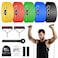 Resistance Bands Set (12pcs), Workout Bands with Handles, Door Anchor, Ankle Straps and Carry Bag, Exercise Bands for Shape Body and Home Workouts