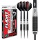 RED DRAGON Megaton: 25g Flightmaster - Tungsten Steeltip Darts Set with Flights and Stems