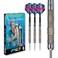RED DRAGON Peter Wright Snakebite Euro 11 Element: 24g Tungsten Darts Set with Flights and Stems