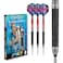 RED DRAGON Peter Wright Snakebite Melbourne Masters Edition: 22g - Tungsten Darts Set with Flights and Stems