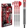 RED DRAGON GT3's 24 gram Wolfram Professional Darts Set mit Flights and Nitrotech Shafts (Stems)