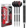 RED DRAGON Swingfire 1: 22g Flightmaster - Tungsten Steeltip Darts Set with Flights and Stems