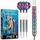 RED DRAGON Peter Wright Snakebite 1: 22g Tungsten Darts Set with Flights and Stems