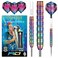 RED DRAGON Peter Wright Snakebite 1: 24g Tungsten Darts Set with Flights and Stems
