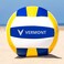 FORZA Volleyballs - Competition &amp; Training Volleyball - FIVB Standard Volleyball - [Net World Sports] (Training)