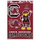 Wincraft NCAA University of South Carolina WCR50106014 Multi-Use Decal, 11" x 17