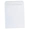 ENVELOPE,12X151/2,CAT,WHT