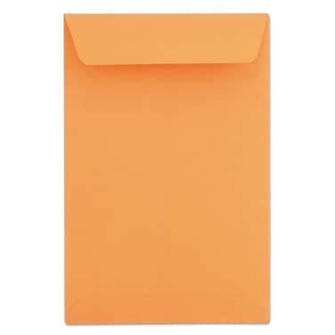 UNV40105 - Universal Catalog Envelope