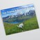 Dogs Pooping In Beautiful Places 2025 Calendar - Holiday Christmas Gag Gift White Elephant