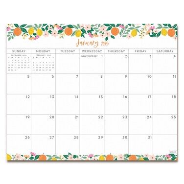 S&amp;O Fruity Magnetic Fridge Calendar from January 2025-June 2026 - Tear-Off Refrigerator Calendar to Track Events &amp; Appointments - 18 Month Magnetic Calendar for Fridge for Easy Planning - 8"x10" in.