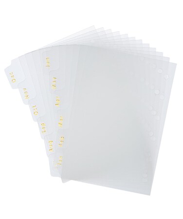 Mr. Pen- Monthly Dividers for Planner, 12pcs, 4.7"x3.1", Monthly Tabs for 6 Ring Binders, Month Tabs, Monthly Binder Dividers with Tabs 12 Months, 12 Tab Dividers, Month Dividers, Monthly Binder Tabs