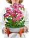 Freshcut Paper Pop Up Cards, Orchid Oasis 12 inch Paper Flower Bouquet Greeting Cards with Blank Note Card &amp; Envelope, Birthday Gifts for Women