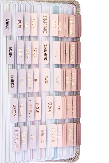 DiverseBee Laminated Bible Tabs (Rose Gold Embossed Lettering), Bible Journaling Supplies, Bible Book Tabs, Christian Gift, 73 Bible Tabs for Women and Men, Includes 4 Blank Tabs (Pearl)