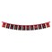 WinCraft Chicago Blackhawks Banner String Pennant Flags