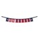 WinCraft Minnesota Twins Banner String Pennant Flags