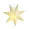 LIOOBO Paper Star Lantern Lamp Shade Hollow out Hanging Lamp Shade Star Hanging Ornament for Wedding Birthday Party Home Decor
