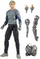 Marvel Avengers Infinity Saga Legends Quicksilver Figure