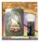 Harry Potter Hedwig on Books with Mini Harry Ornament