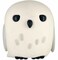 HARRY POTTER Hedwig PVC Bank, Standard, Multicolor