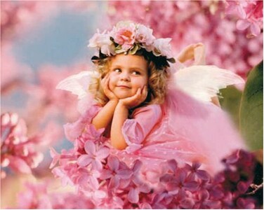 Clementoni 5308170 Daydreamer 1000 Pieces