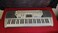 Casio CTK-496 Electronic Keyboard with 61 Full-Size Keys and Singalong Capability