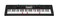Casio LK-170 Key Lighting Keyboard 61 Piano Style Keys!