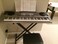 Casio LK-73 73 Note Lighted Key Digital Musical Keyboard