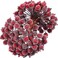 Tatuo 400 Pieces Artificial Frosted Holly Berries Fake 12 mm Mini Christmas Fruit Berry Flower Decor (Dark Red)