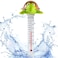 Floating Pool Thermometer, Large Display with String Easy to Read, Shatter Resistant, for Outdoor &amp; Indoor Swimming Pools, Spas, Hot Tubs &amp; Aquariums (Turtle)