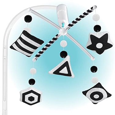 EVERLOVE Montessori Mobile Baby for Crib (TINITIGIES) - Black and White Mobile Give Visual Stimulation to Engage Your Newborn - Baby Crib Mobile for Boys &amp; Girls - Baby Mobile for Crib