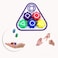 noxozoqm Gonggi Korean Game,Stone Catching Game Stone Game,Korean Traditional Squid Tossing Play Game Gonggi Stone Set,Gonggi Korean Game Stone Catching,Hand Eye Coordination Training Toy