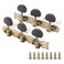 1Set Yootones Classical Guitar String Tuning Keys Pegs Guitar Machine Heads Tuning Key Pegs 3+3 Tuners(L&amp;R) Compatible with Classical Guitar