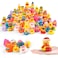 Umbresen Rubber Ducks Bath Toy in Bulk, Assortment Jeep Ducks for Jeep Ducking, Pool Rubber Ducky Floater Bathtub Toys Party Favors Birthday Gifts (15)