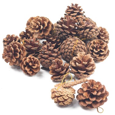 JOHOUSE 18 PCS Natural Pine Cones, Christmas Rustic Pinecones Fall Garland Halloween Thanksgiving Decorations, Christmas Tree Fall Ornaments, Winter Vase Filler