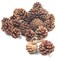 JOHOUSE 18 PCS Natural Pine Cones, Christmas Rustic Pinecones Fall Garland Halloween Thanksgiving Decorations, Christmas Tree Fall Ornaments, Winter Vase Filler