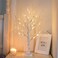 PEIDUO Artificial Tree for Table Decor, 2FT Birch Tree with LED Lights, Warm White Fairy Lights Spirit Tree Lamp for Home Indoor Tabletop Centerpiece, Battery Powered, Timer