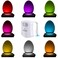 ToiLight The Original Toilet Bowl Night Light. Fun &amp; Useful Bathroom Motion Sensor Tech Gadget. Funny Novelty Birthday Gift Idea. Stocking Stuffer for Him Her Guys Men Mom Brother