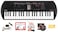 Casio SA-81 44-Key Mini Keyboard Bundle with Power Supply, Key Stickers, Instructional Book, Austin Bazaar Instructional DVD and Polishing Cloth